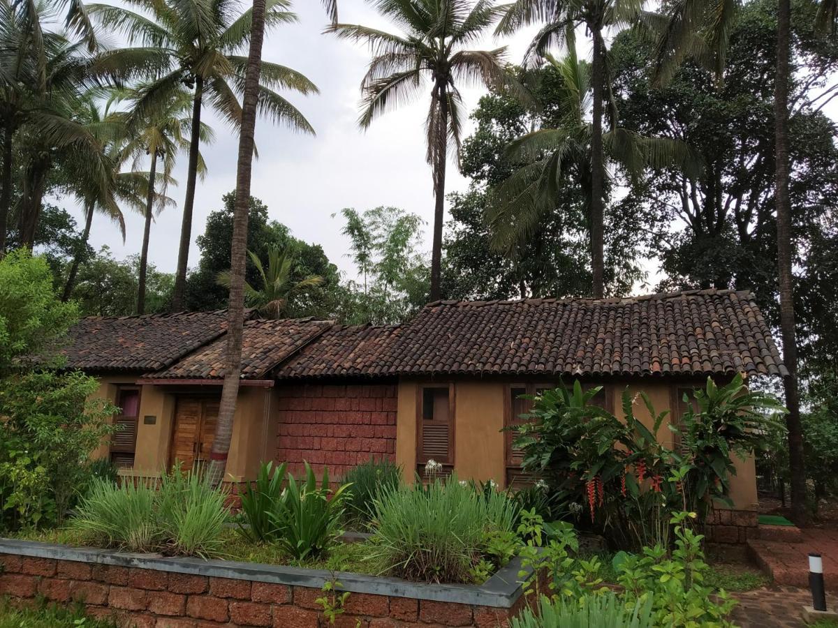 The Orchard Resort 贝尔高姆 外观 照片