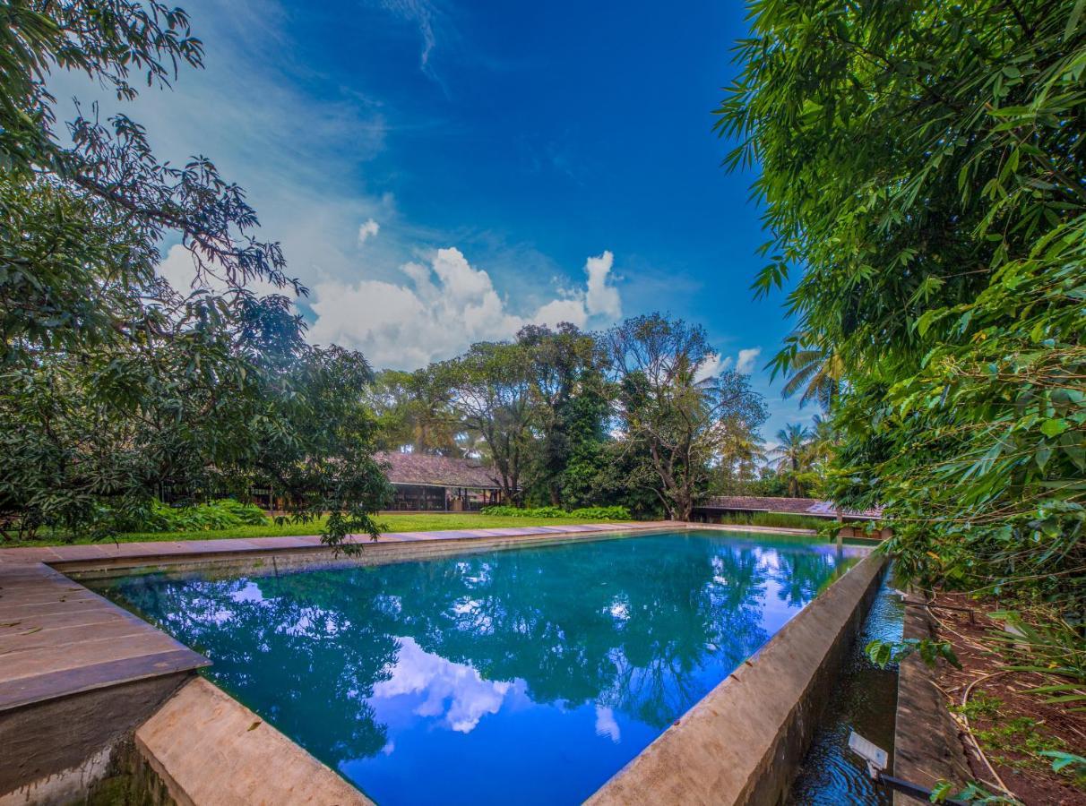 The Orchard Resort 贝尔高姆 外观 照片